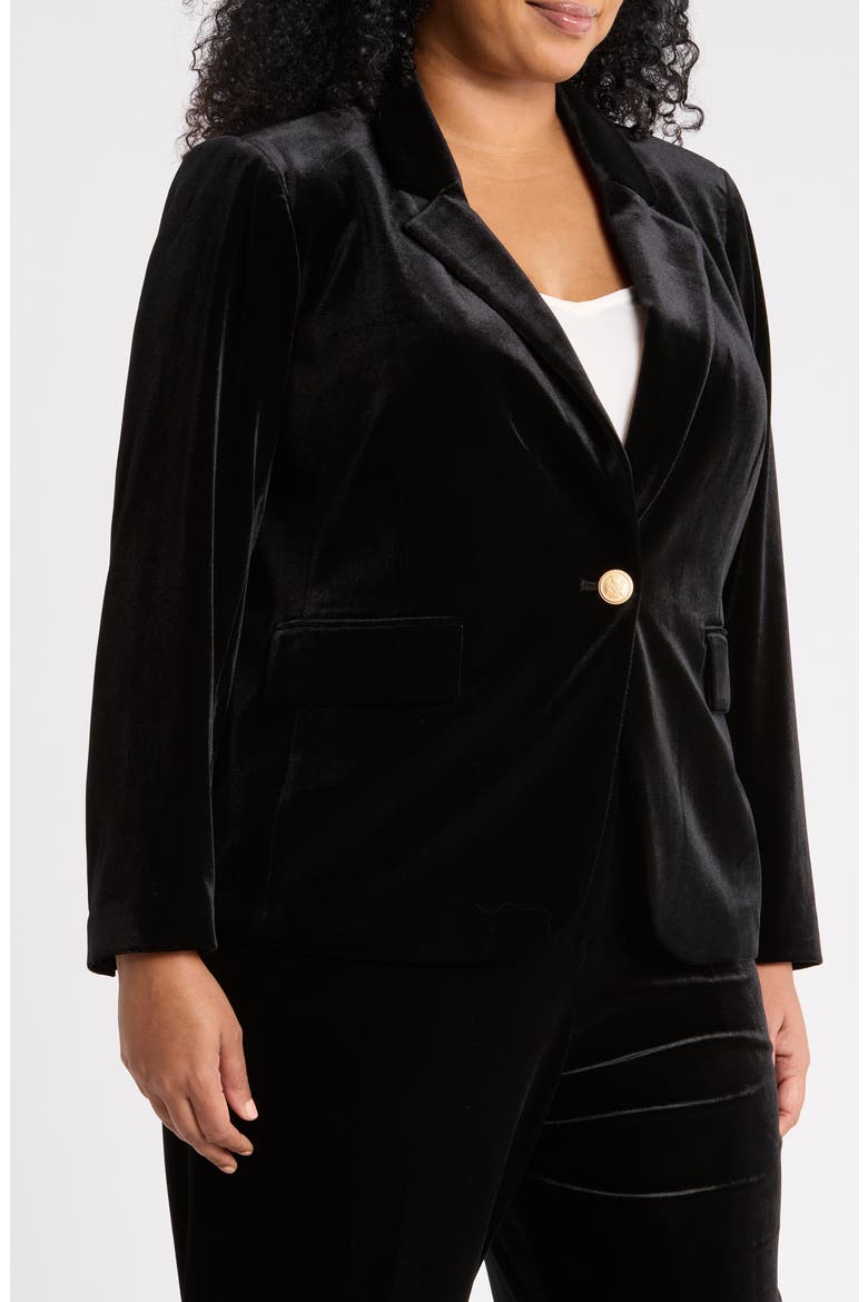 Velvet One-Button Blazer, Alternate, color, BLACK