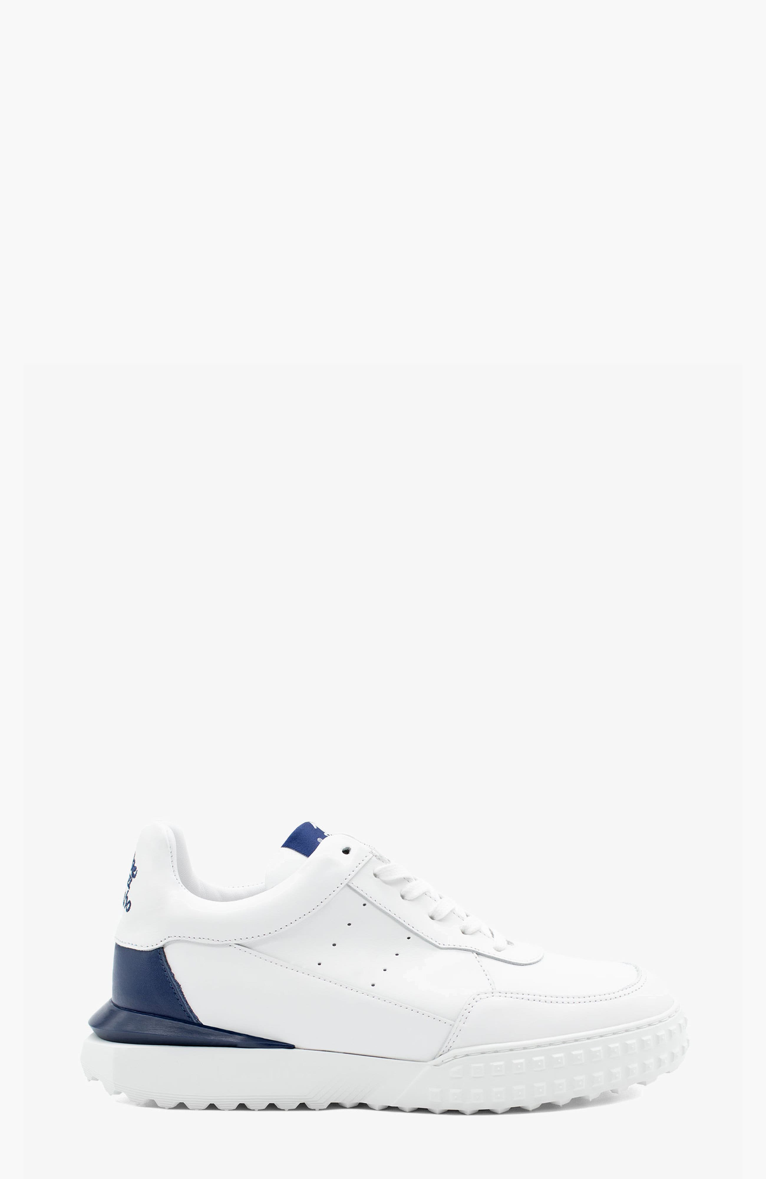 White / Navy