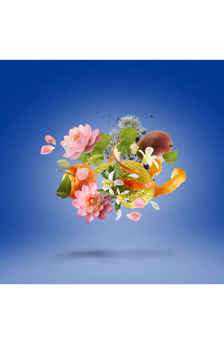 XERJOFF TORINO24 Eau de Parfum, Alternate, color, 