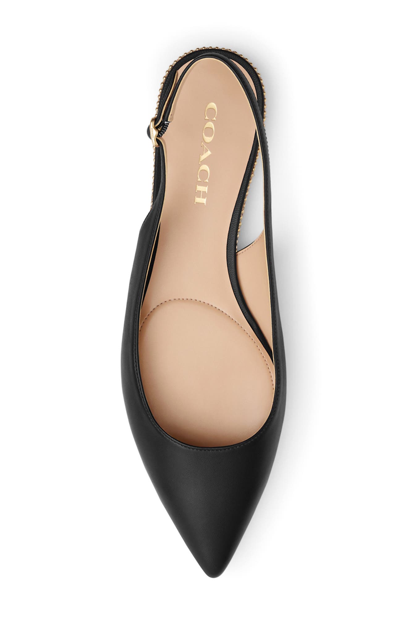 COACH Claire Slingback Pointed Toe Skimmer Flat, Alternate, color, Black