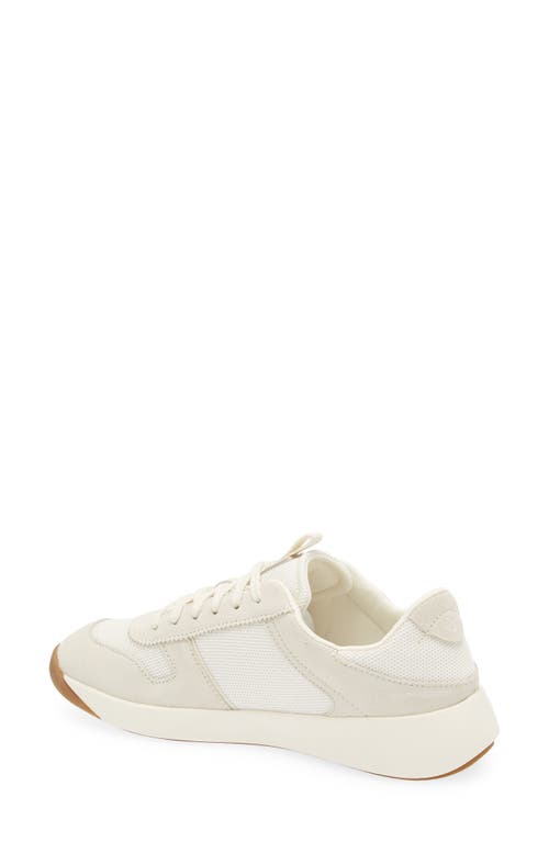 Olukai Kaulele Sneaker In Multi