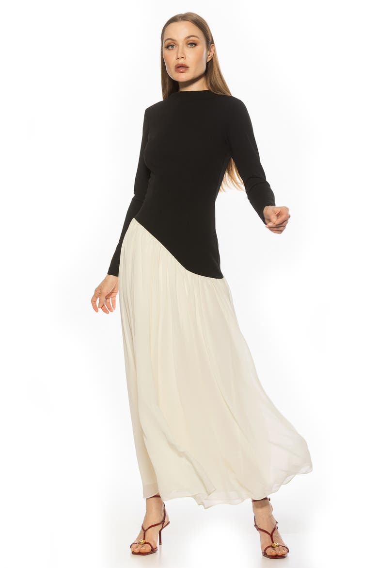 Dakota Long Sleeve Gown, Alternate, color, BLACK/ OFF WHITE