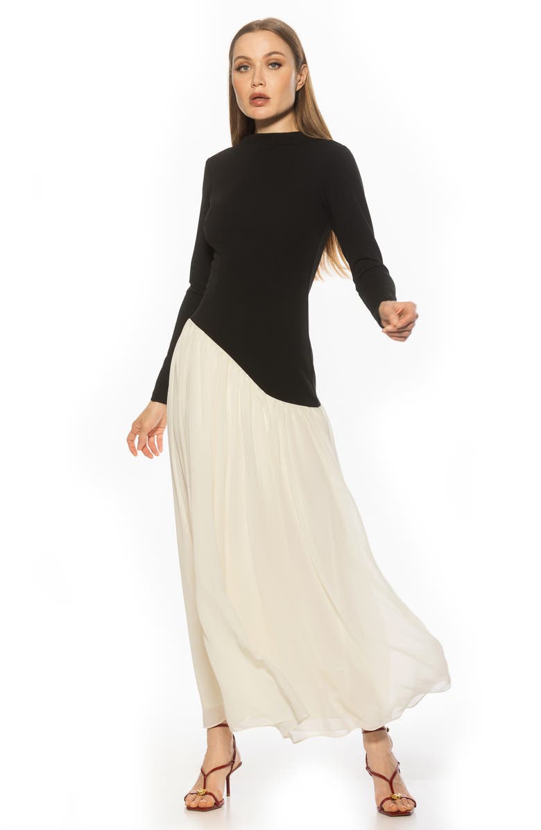 Dakota Long Sleeve Gown