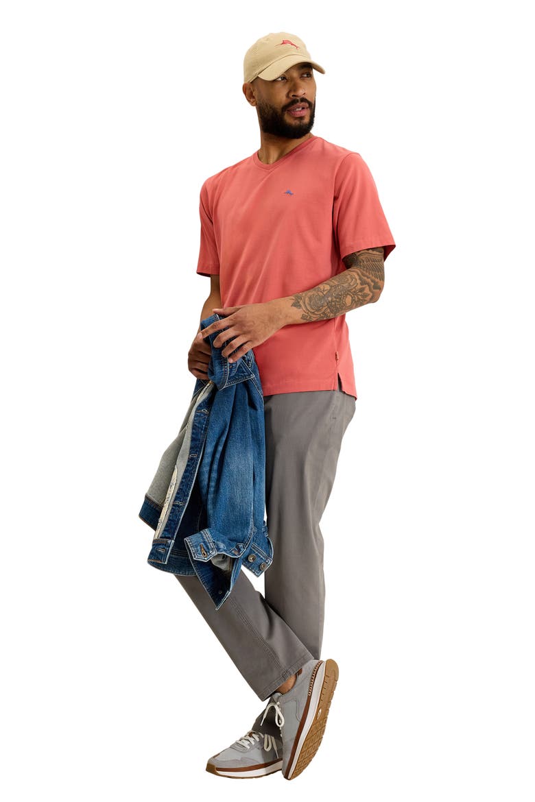 New Bali Skyline V-Neck T-Shirt, Alternate, color, RED GINGER