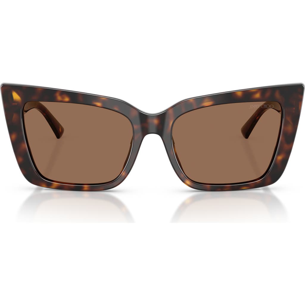 Jimmy Choo 54mm Butterfly Sunglasses In Havana/dark Brown