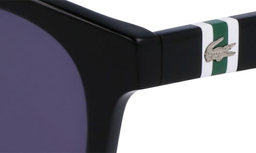 Lacoste Round-frame Sunglasses In Black