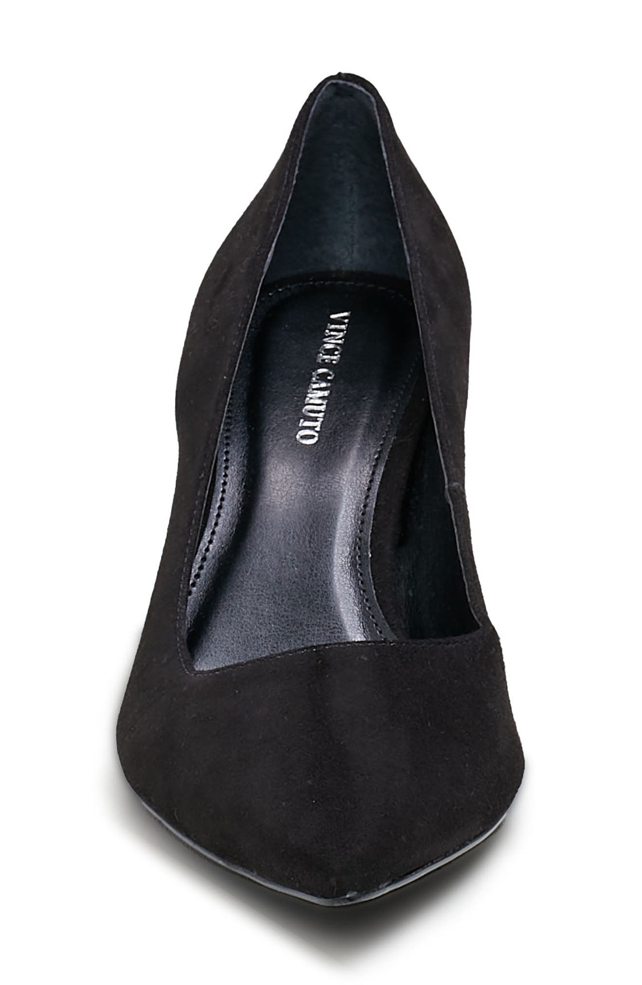 Vince Camuto Hailenda Pointed Toe Pump, Alternate, color, 