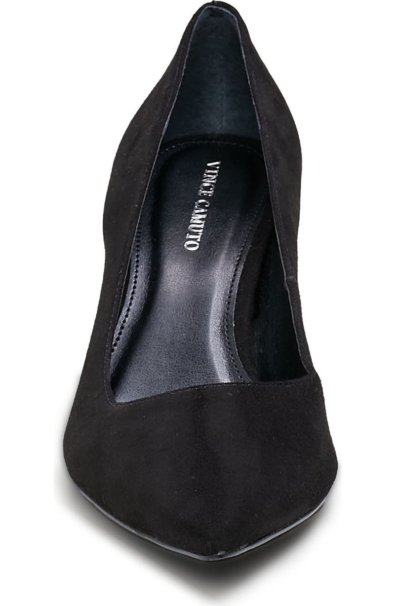 Vince Camuto Hailenda Pointed Toe Pump, Alternate, color,