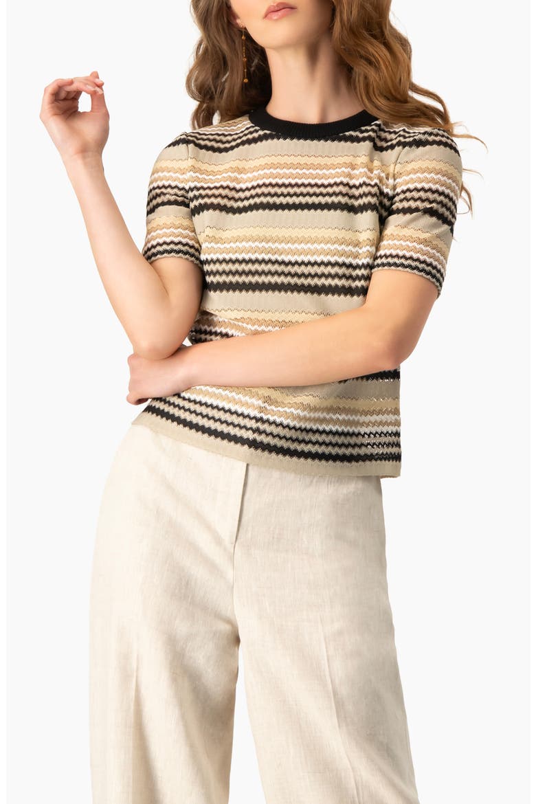 Chevron Stripe Crochet Knit Top, Short Sleeve Textured Crew Neck, Main, color, Beige