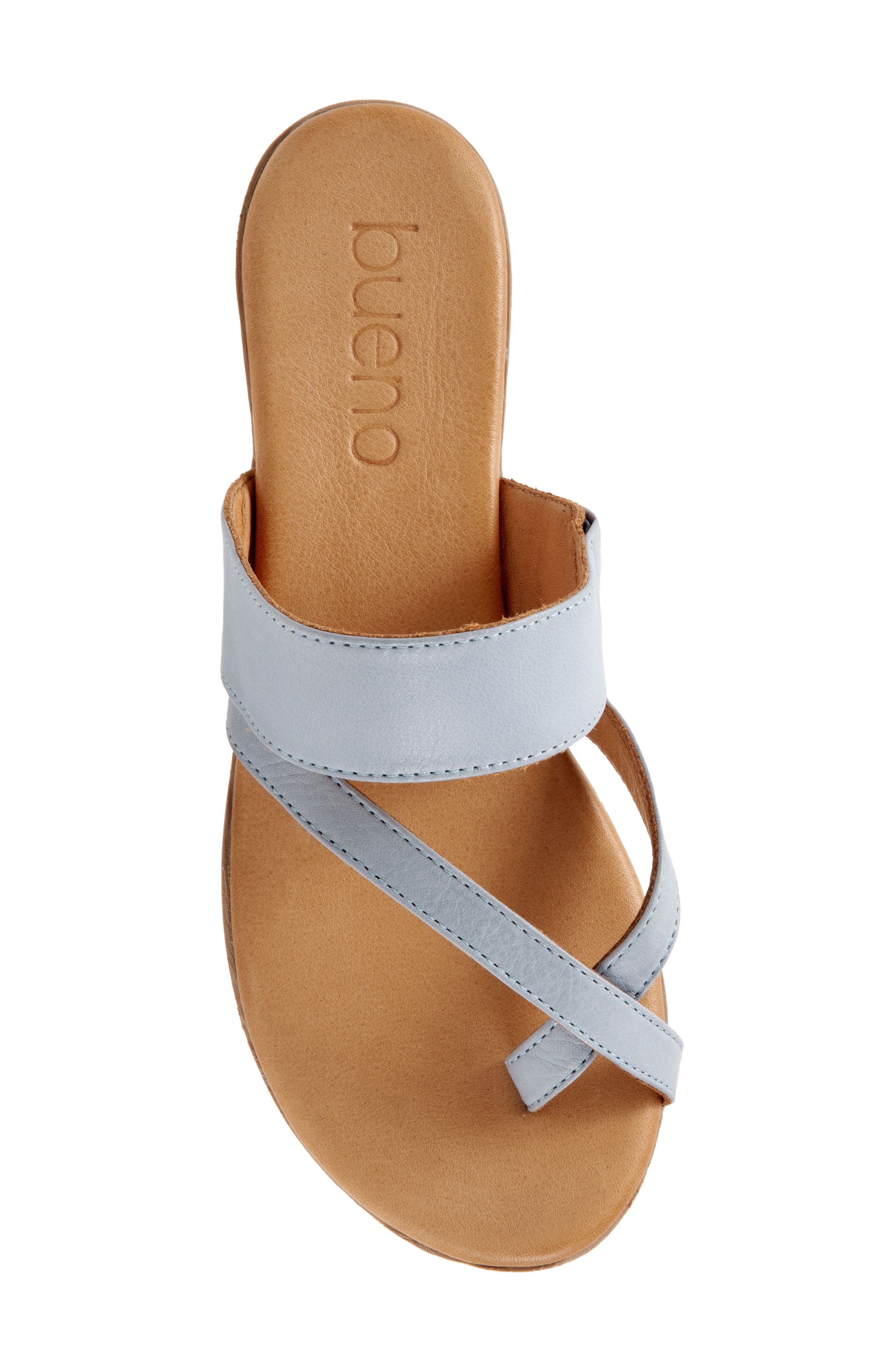 Jackson Toe Strap Slide Sandal, Alternate, color, POWDER BLUE LEATHER
