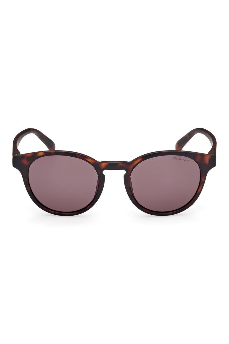 Oval Sunglasses, Main, color, DARK HAVANA / BROWN
