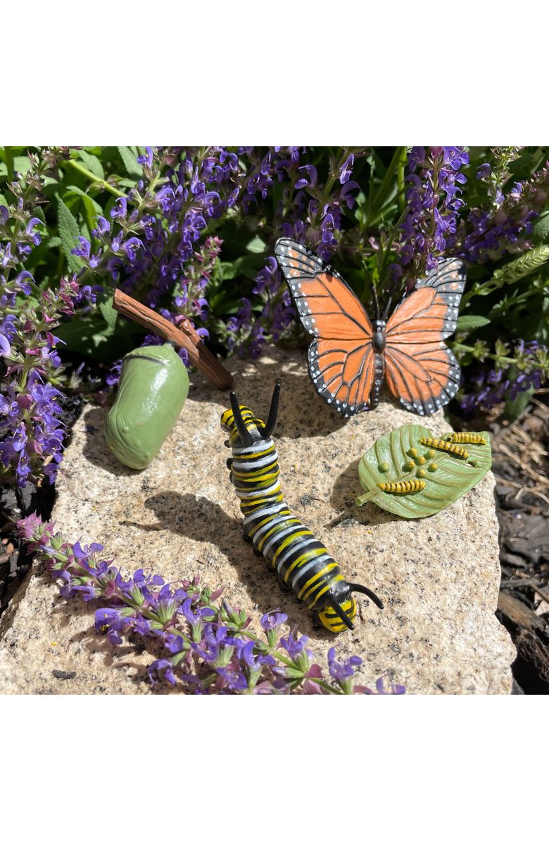 Safari Ltd. Life Cycle Of A Monarch Butterfly, Alternate, color, NO COLOR