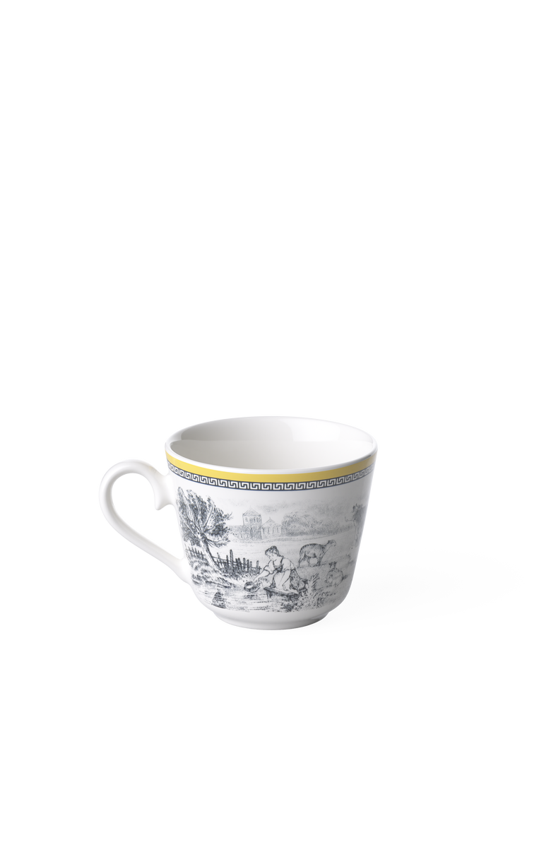 Villeroy & Boch Audun Ferme Teacup, Alternate, color, White