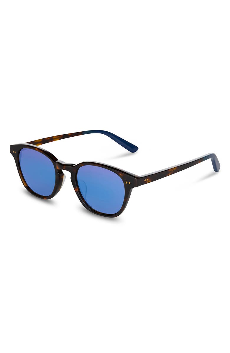 TOMS Wyatt Small 49mm Round Sunglasses, Alternate, color, Dark Brown/ Bright Blue