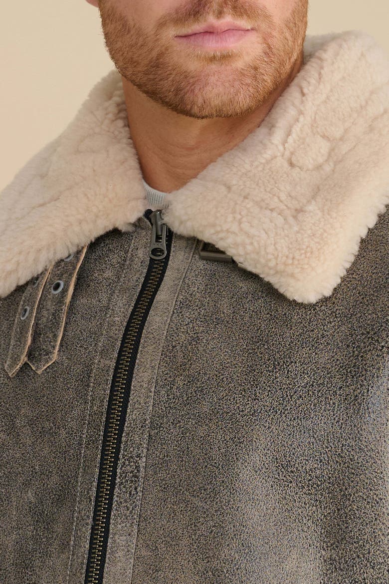 Rupert Shearling Aviator Jacket, Alternate, color, Grey