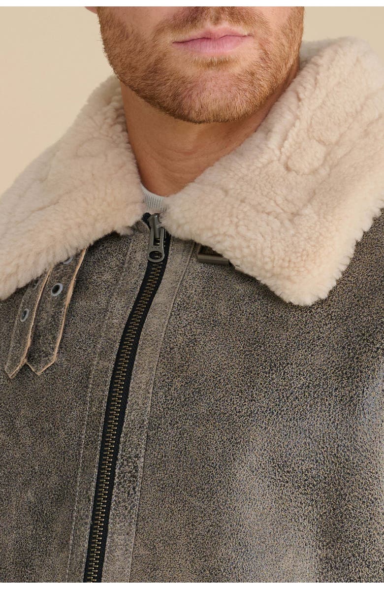 Furniq UK Rupert Shearling Aviator Jacket, Alternate, color, Grey
