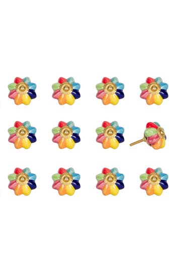 Shop Kinetic 12-pack Knobs In Rainbow
