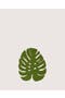 selected Loden Green