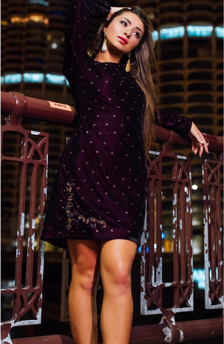 RAAS Lica Hand-Embroidered Velvet Dress, Alternate, color, Wine