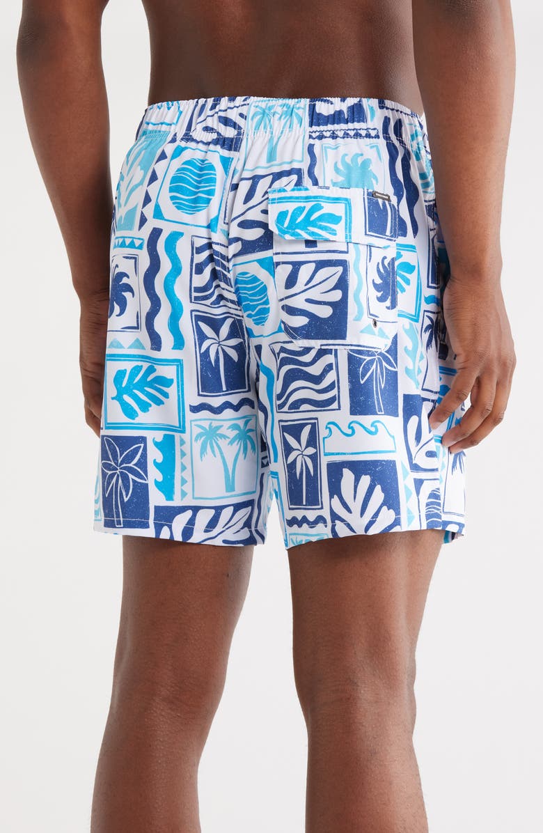 Vintage Summer 4-Way Stretch Volley Swim Trunks, Alternate, color,