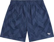 PAPER PLANES Chevron Mesh Drawstring Shorts