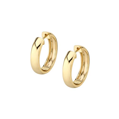 Michael M Orb Huggie Hoop Earrings in Yellow Gold at Nordstrom