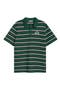 selected Forest Stripe