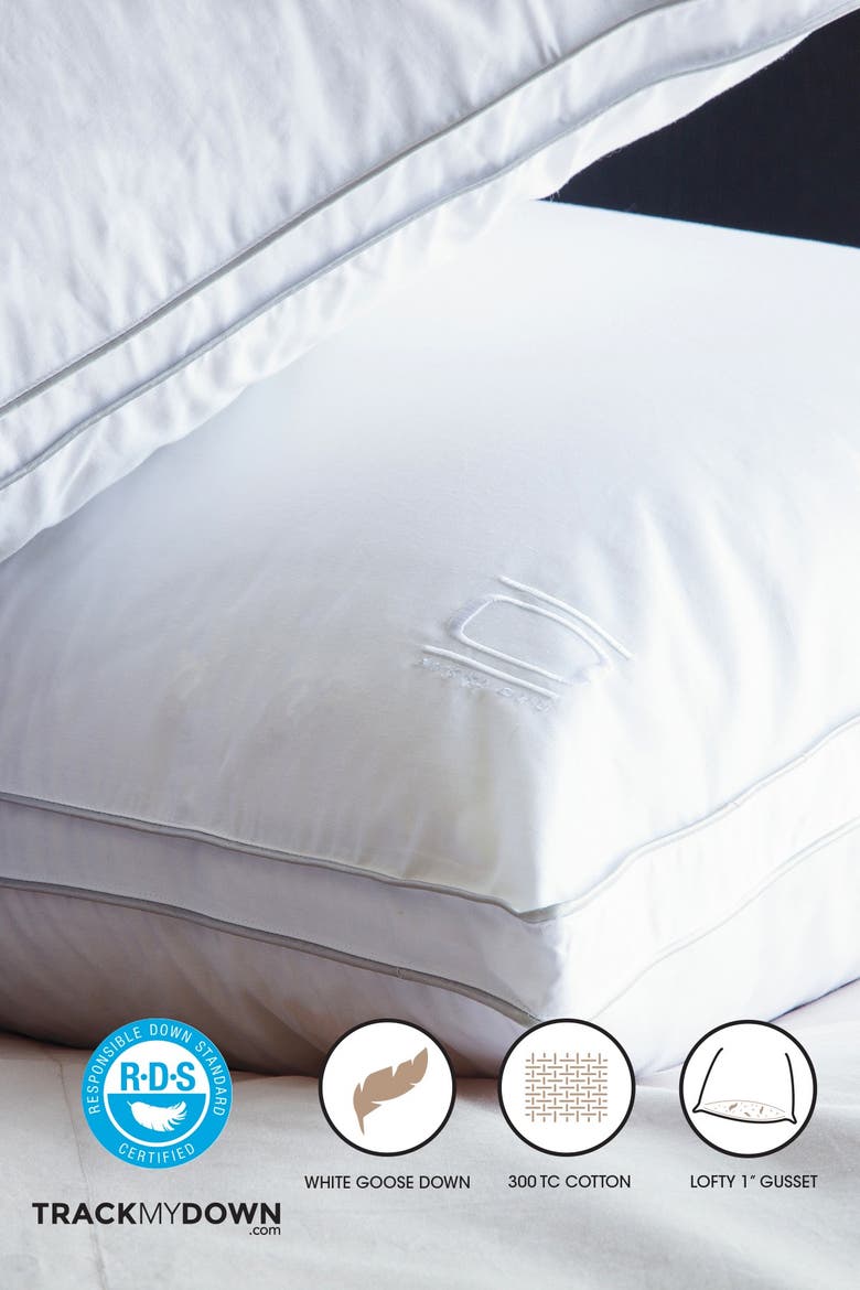 Nikki Chu Standard Cotton White Goose Down Best Pillow with Removable Cover, Alternate, color, WHITE