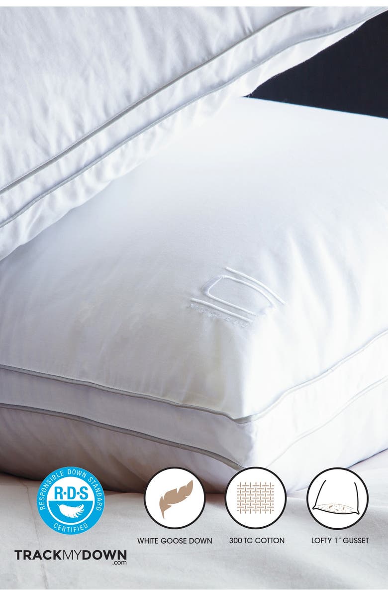 Allied Home Nikki Chu Standard Cotton White Goose Down Best Pillow with Removable Cover, Alternate, color,