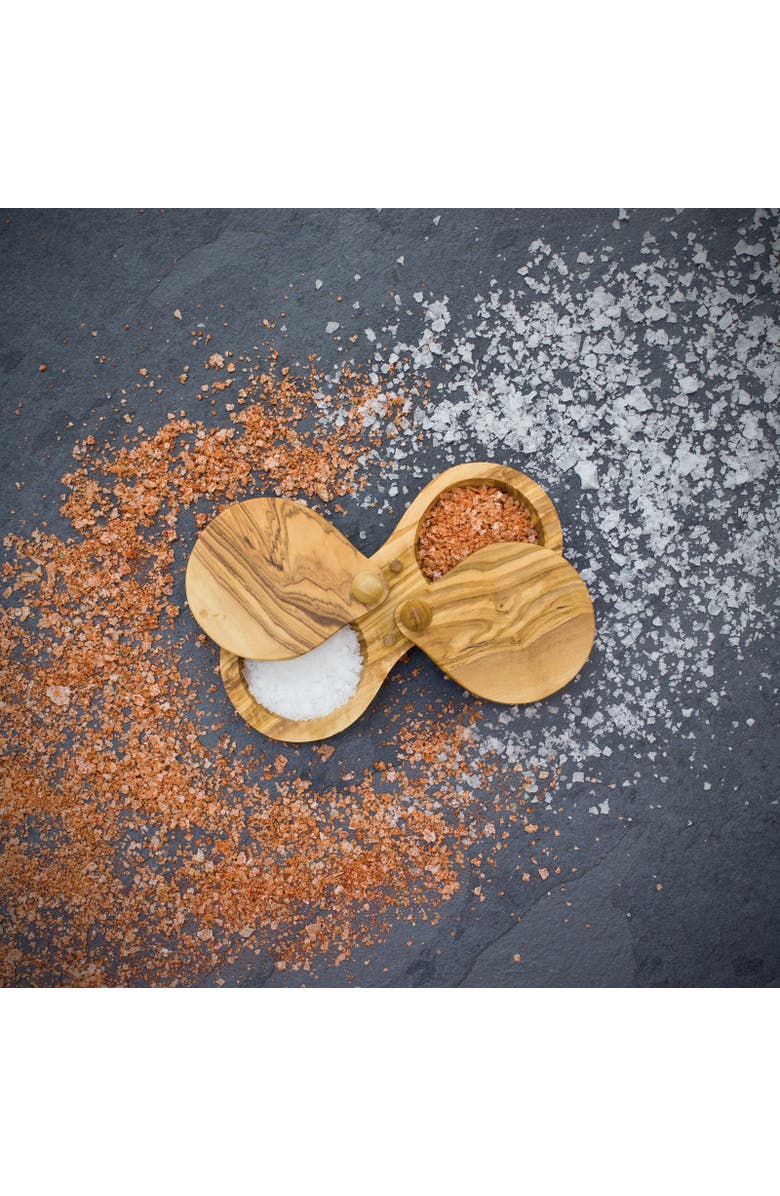 Berard France Olive Wood Double Salt Keeper and Spice Box, Alternate, color, Brown