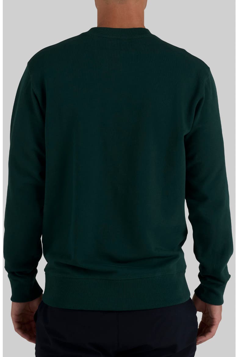 Amateur’s Embroidered Icon Cotton Fleece Sweatshirt, Alternate, color, PINE GROVE