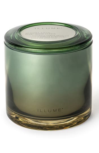 Illume ® Terra Tabac Paloma Petal Statement Glass Candle In Hinoki Sage