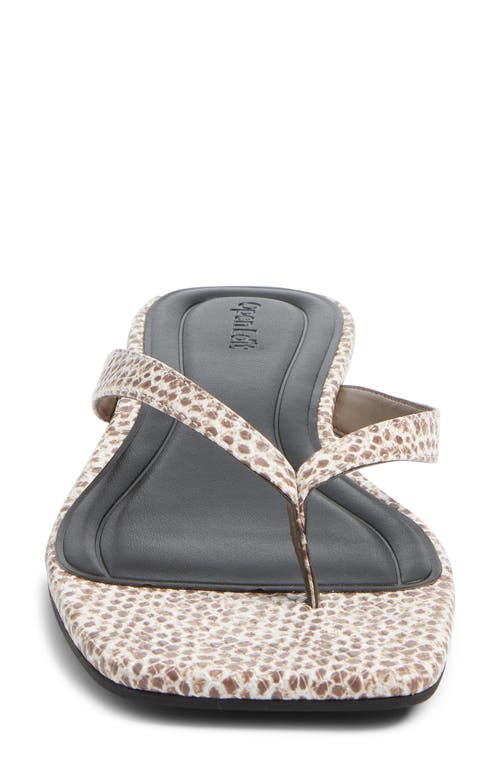 Open Edit Ocean Snakeskin Embossed Flip Flop