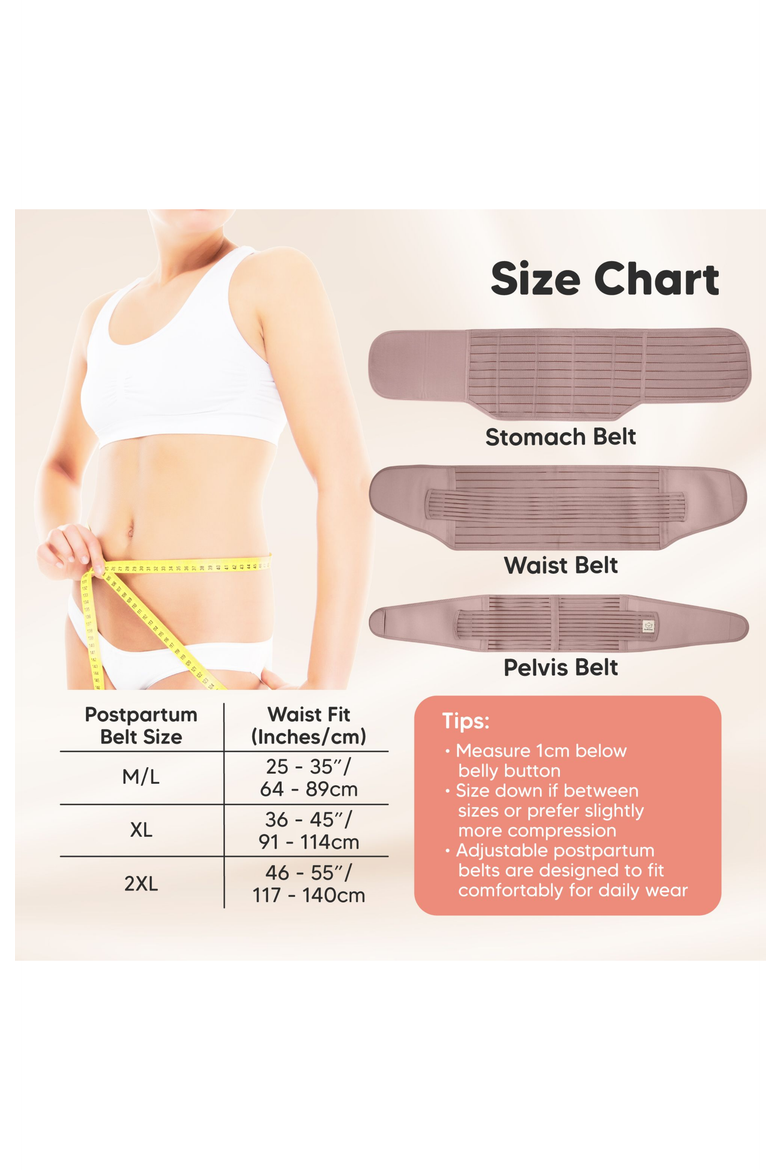 Revive 3-in-1 Postpartum Recovery Support Belt, Alternate, color, Dusty Plum