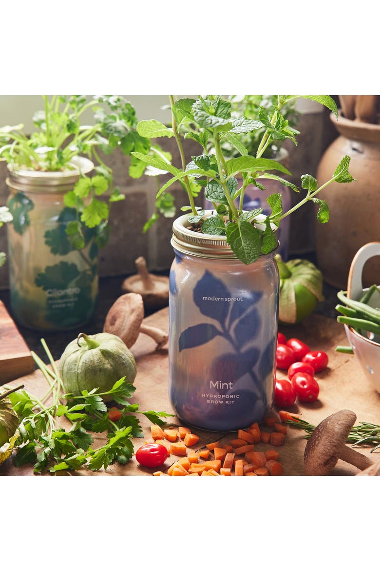 Garden Jar, Alternate, color, Mint