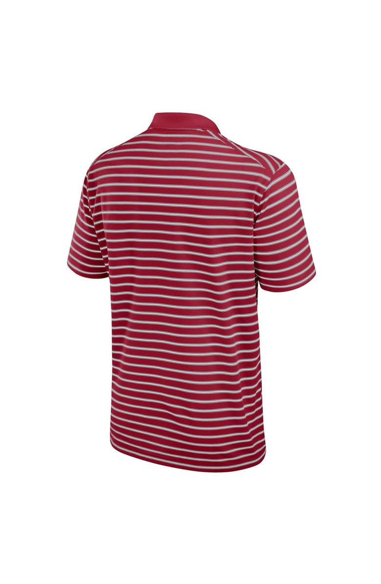 Nike Men's Nike Cardinal Arkansas Razorbacks Victory Stripe Performance Polo, Alternate, color,