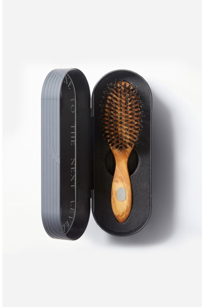 PRESTIGE Repair & Shine Brush for All Hair Types, Alternate, color, NO COLOR