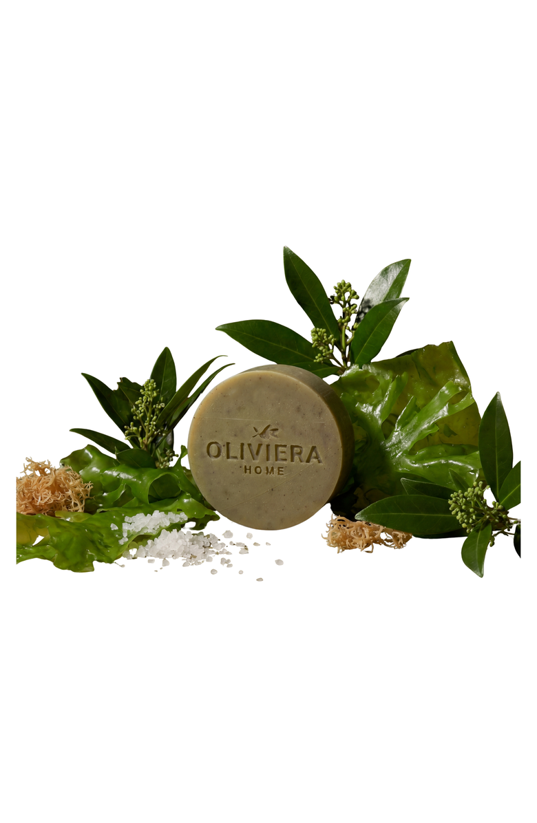 Oliviera Home Seaweed Bar Soap Trio, Main, color, Green