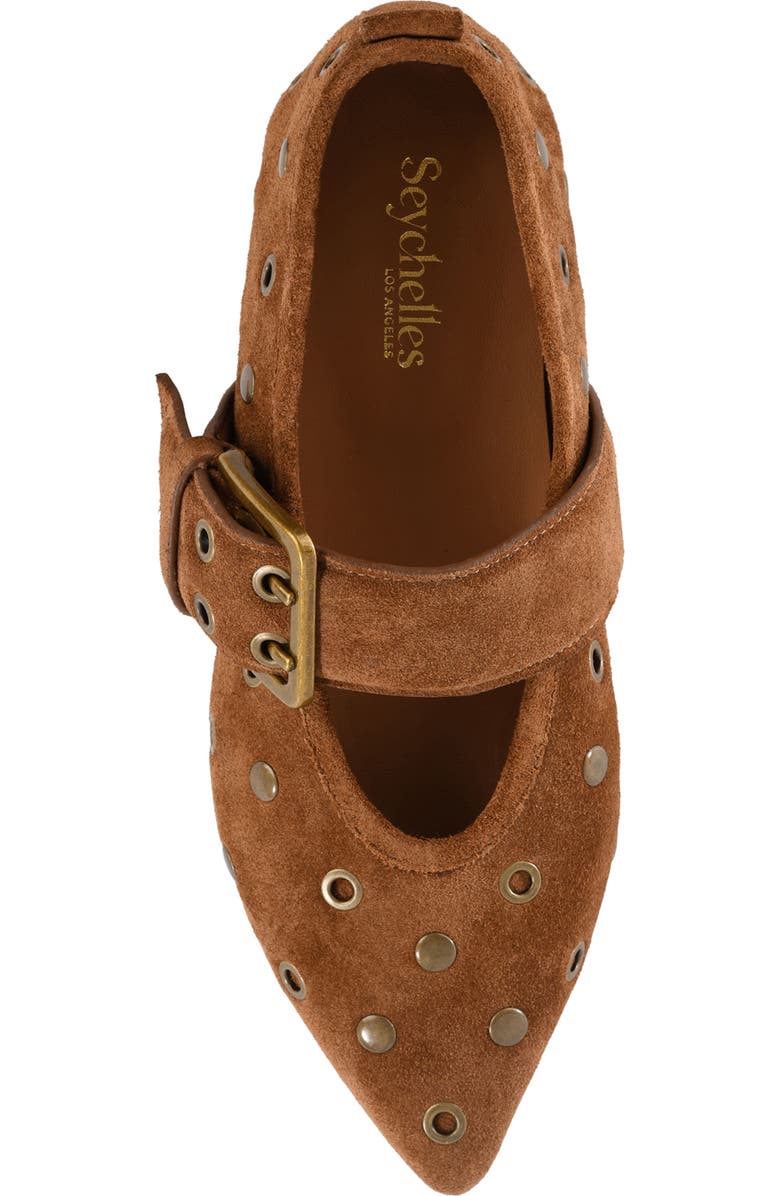 Seychelles Abbey Pointed Toe Flat, Alternate, color, Brown