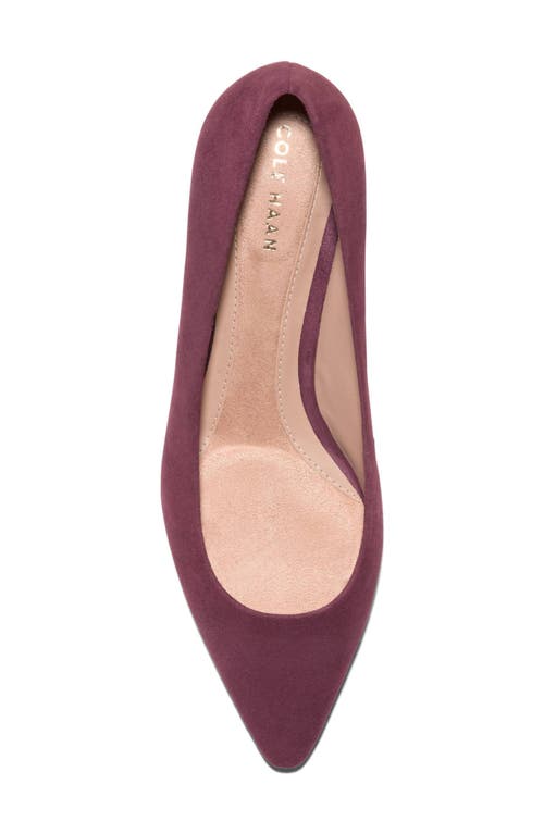 Cole Haan The Go-to Jocelyn Pointed Toe Pump In Purple