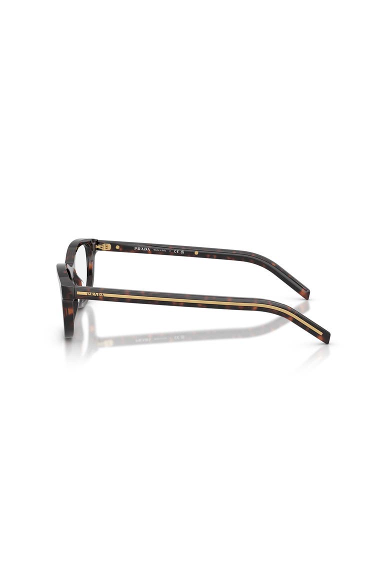 50mm Oval optical glasses, Alternate, color, Tortoise