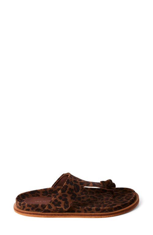 Free People Mika Flip Flop In Chestnut Leopard Suede