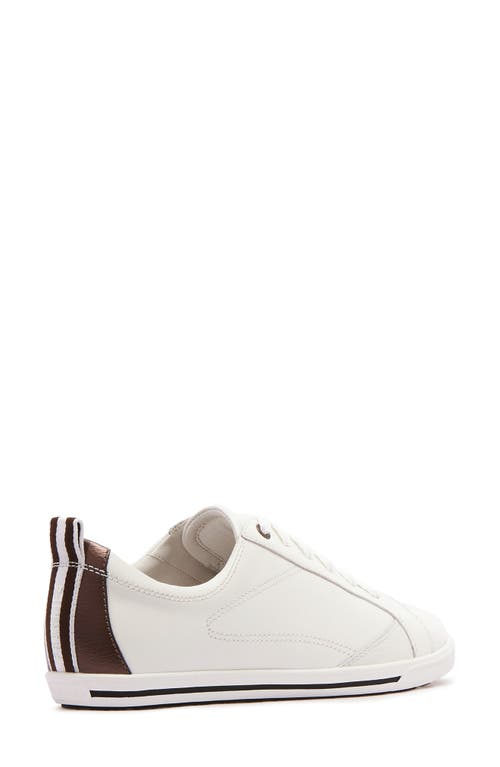 Frankie4 Asher Low Top Sneaker In Multi