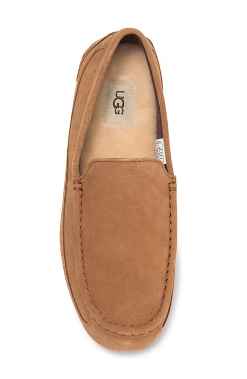Ugg Alder Faux Shearling Lined Suede Slipper In Chestnut