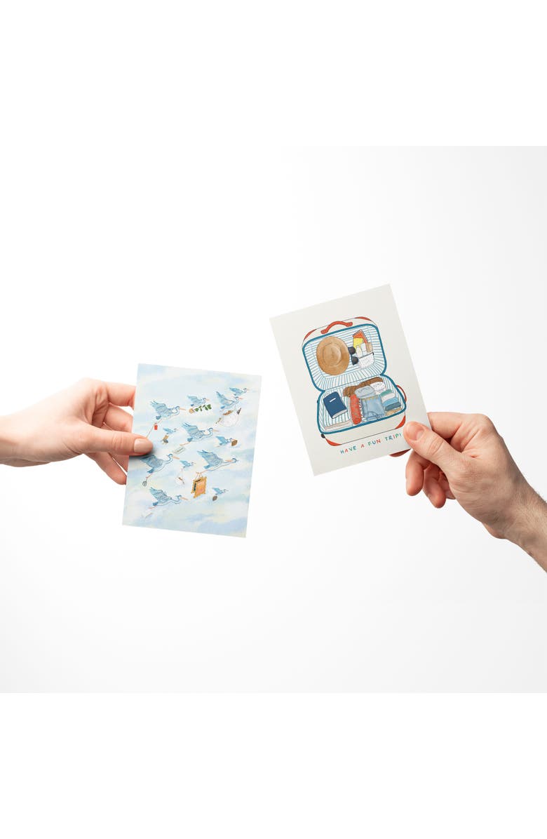 Ramus & Co Everyday Greeting Card Pack Sets (3 ct, Assorted) New Chapter, Have a Fun Trip, Bird Migration, Alternate, color, Multi-Pack