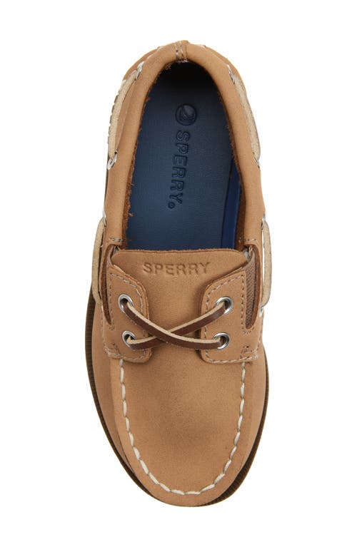 Sperry Kids' Authentic 2-eye Nubuck Boat Shoe In Chestnut