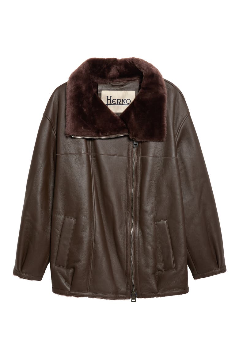 Classic Zip Genuine Shearling Jacket, Main, color, 8800 DARK BROWN