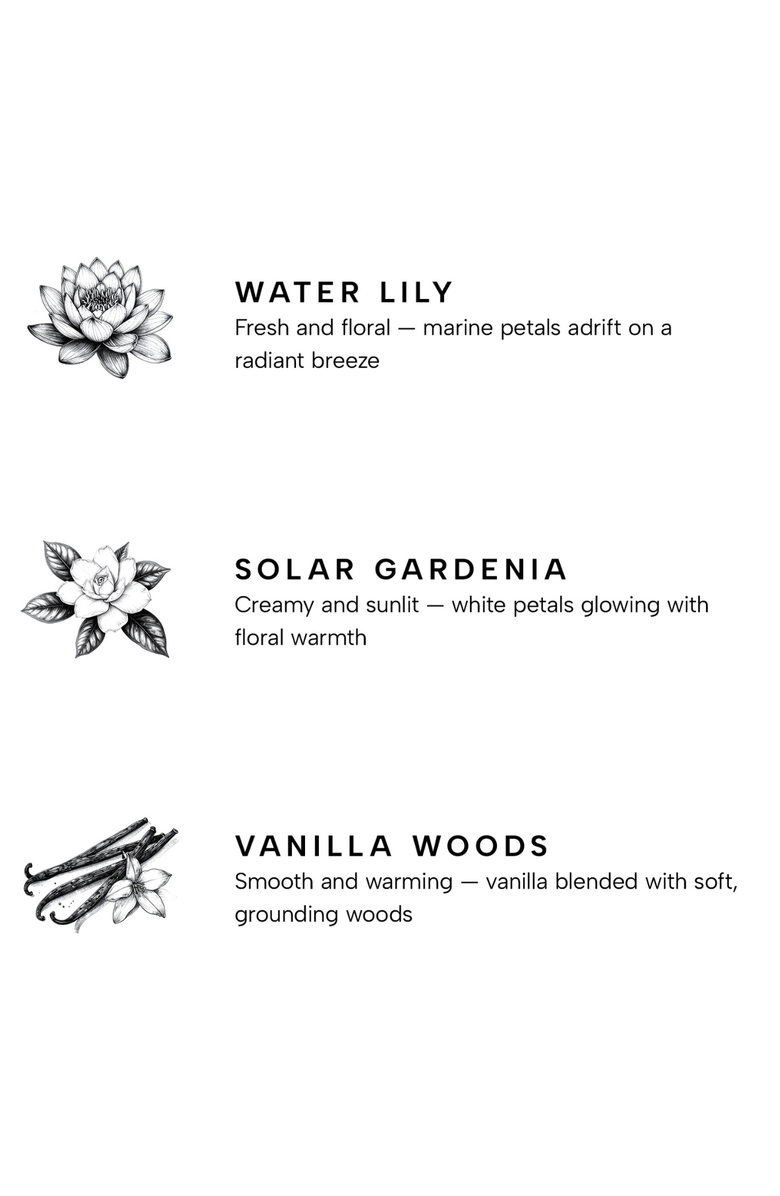 YANKEE CANDLE Petal Premium Scented Candle, Alternate, color, White