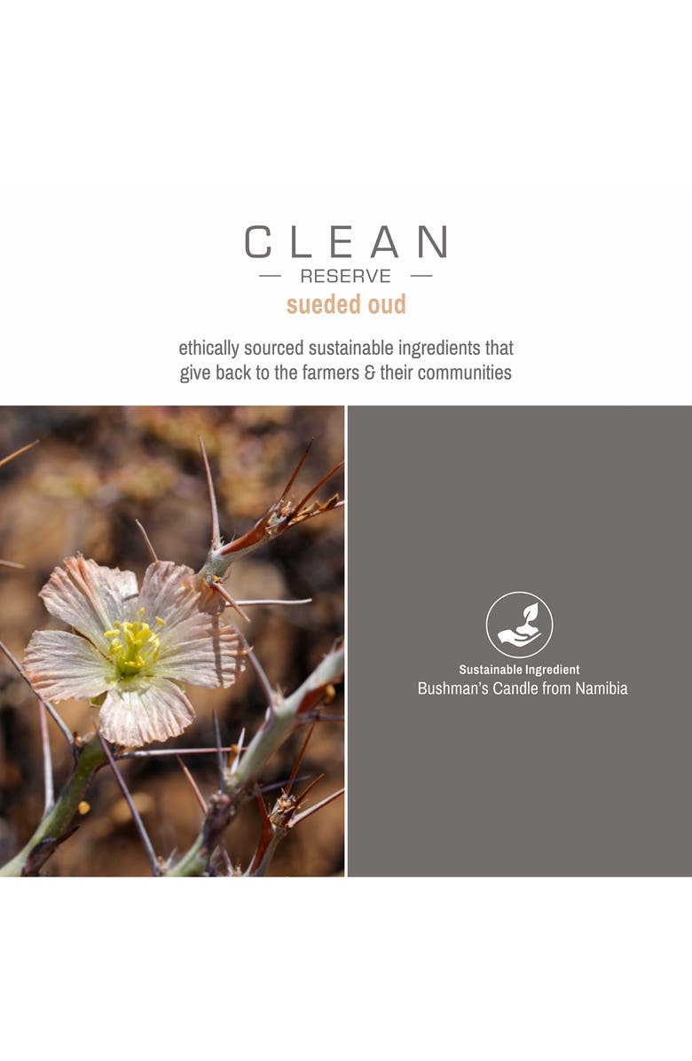Clean Reserve Sueded Oud Eau de Parfum Pen Spray, Alternate, color,