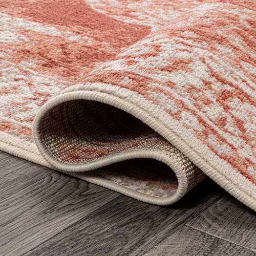 Jonathan Y Rosalia Cottage Medallion Area Rug In Peach/ivory